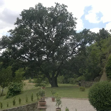 Guest house Loghino 3*