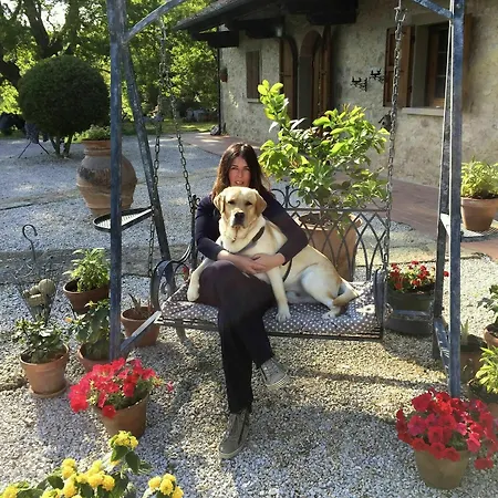 Loghino Guest house Volterra