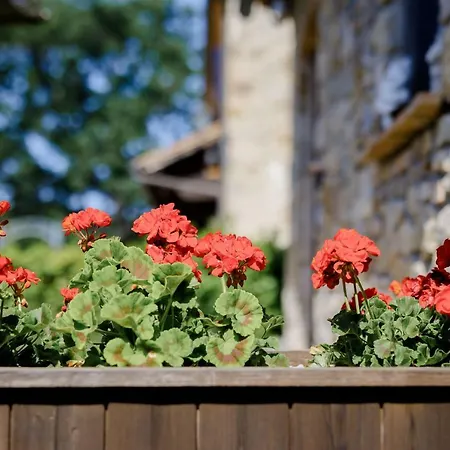 Guest house Loghino Volterra